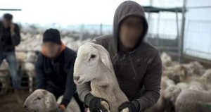 C883CAA0 64BB 4C09 91C1 29E3EDF343AF - بلوس24 | Plus24