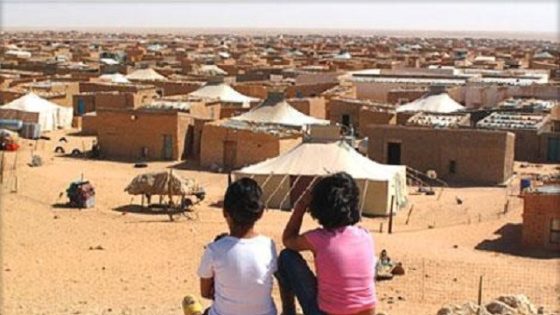 مخيمات تنذوف: اختلاس المساعدات الإنسانية.. الاتحاد الأوروبي يدعو إلى إجراءات جديدة