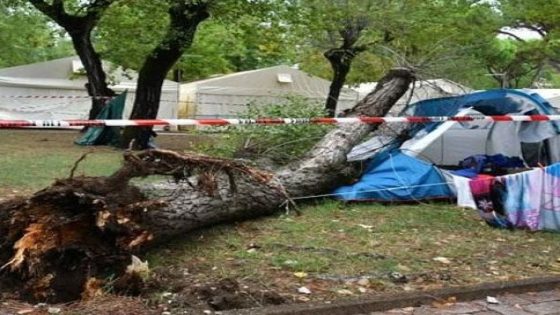 شجرة تقتل طفلتين مغربتين بايطاليا