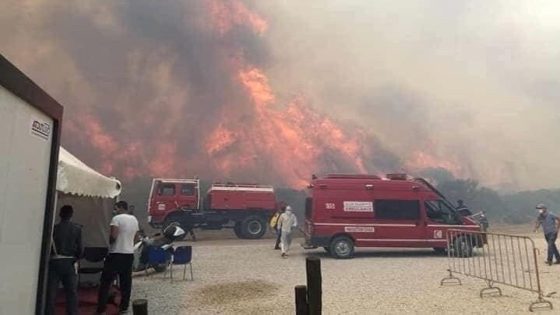 المضيق-الفنيدق: حريق بغابة حوز الملاليين جاء على حوالي 50 هكتارا