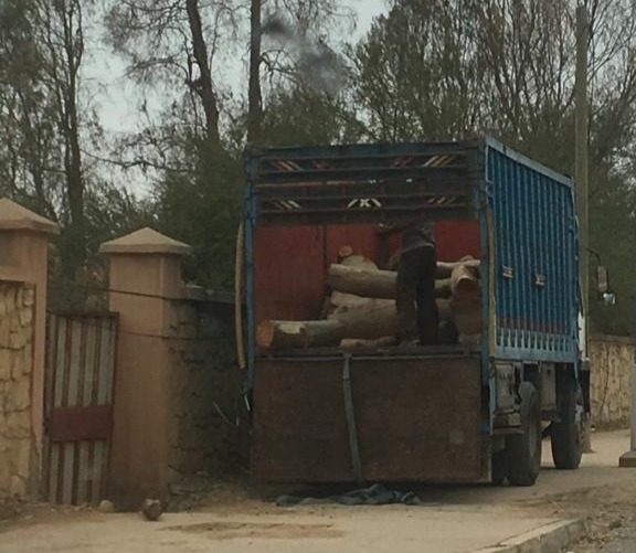 5C3AEBD4 B6CB 4BA6 807C 45BC6A379912 - بلوس24 | Plus24