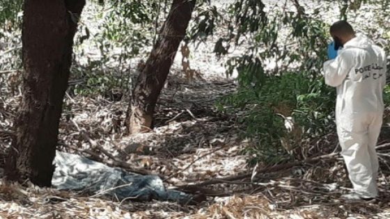 الناظور: العثور على جثة متحللة بغابة كوروكو