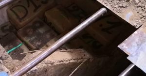 dgsn - بلوس24 | Plus24