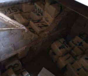 dgsn - بلوس24 | Plus24