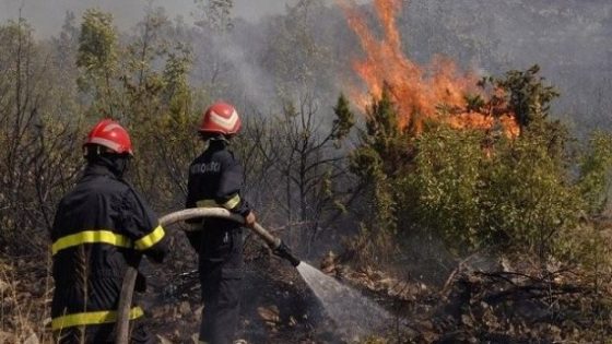 المضيق: إضرام النار في غابة يقود 4 قاصرين إلى الاعتقال