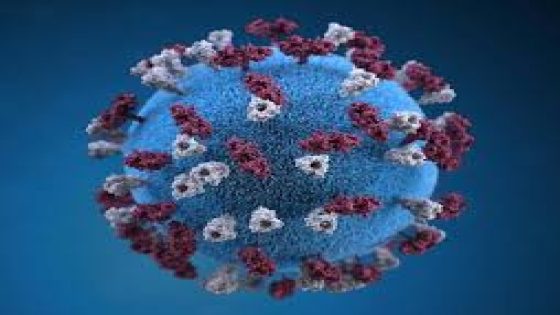 تسجيل 1422 حالة إصابة مؤكدة جديدة بفيروس كورونا المستجد