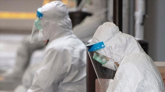المغرب يسجل 2391 حالة إصابة مؤكدة جديدة بفيروس كورونا