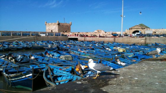 الصويرة: إغلاق الميناء و سوق الجملة للسمك بعد انتشار الفيروس لدى العاملين