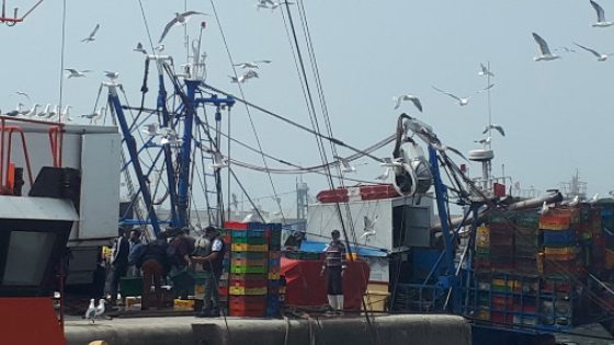 ميناء الصويرة يستأنف نشاطه بعد الإغلاق بسبب كورونا