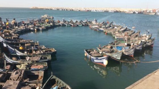 ميناء طنطان يحقق قيمة مالية مهمة في تفريغ السمك