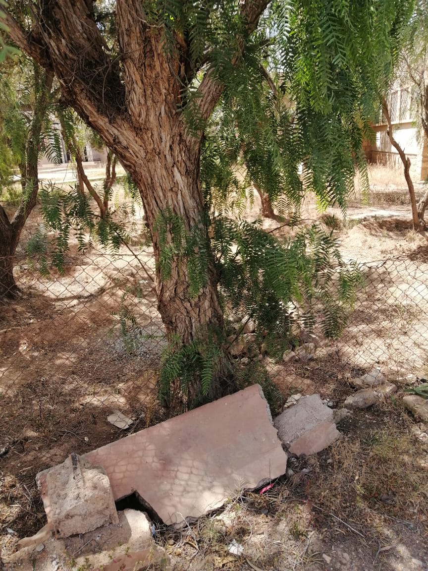 IMG 20210416 WA0010 - بلوس24 | Plus24