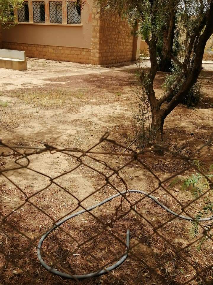 IMG 20210416 WA0014 - بلوس24 | Plus24