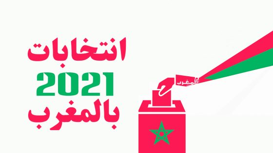من بين 30 حزباً سياسياً تخوض الانتخابات البرلمانية، المقررة الجمعة المقبلة، تبرز 8 أحزاب تحظى بفرص أكبر للفوز بأكبر عدد من المقاعد ( Yara Ahmed Abdelaziz Ramadan - وكالة الأناضول )