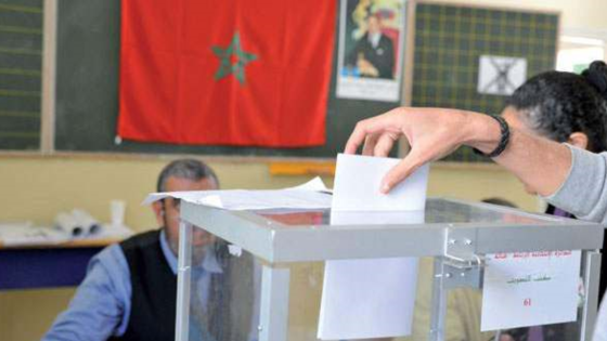 بعد تصريح وزير الداخلية، بروفيسور مغربي يحذر من تبعات تنظيم الانتخابات
