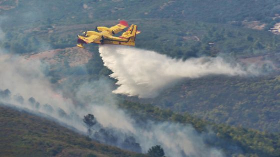 شفشاون: تواصل الجهود لإخماد حريق غابة “سكنا”