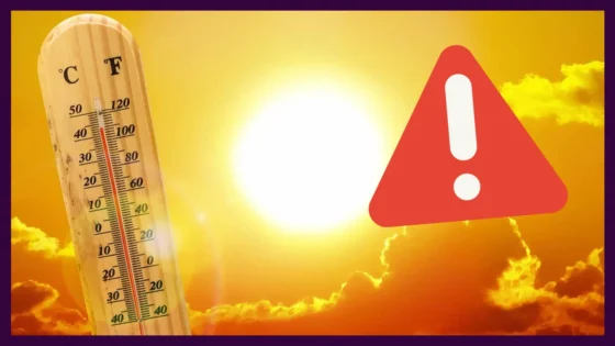 تحذير من موجة حر في عدد من أقاليم المملكة بدرجات حرارة تصل إلى 47 درجة